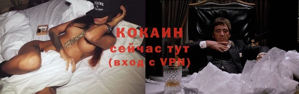 стаф Баксан