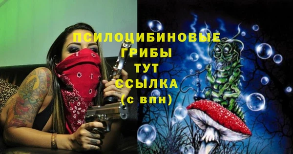 амф Балахна