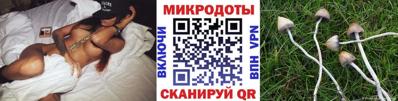 где можно купить   Вилючинск  Псилоцибиновые грибы ЛСД 