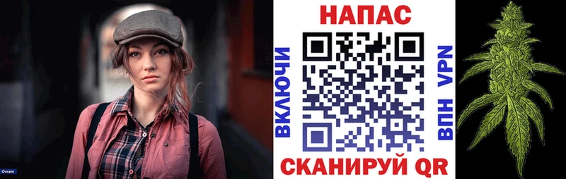 Шишки марихуана сатива Вилючинск
